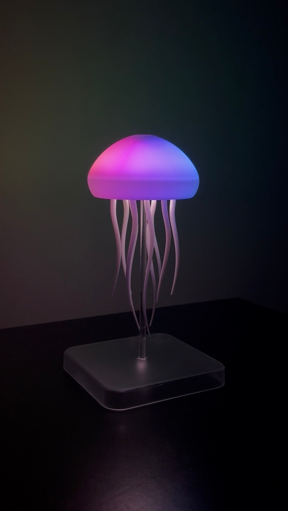 The Jellyfish Lamp — Quiet Your Mind