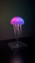 The Jellyfish Lamp — Quiet Your Mind